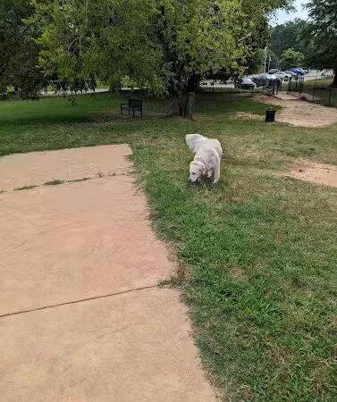 SPCA Albrecht Center for Animal Welfare - Aiken, SC