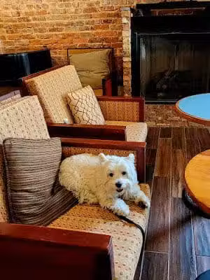 Union Park Coffee - Aiken, SC