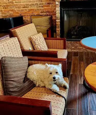 Union Park Coffee - Aiken, SC