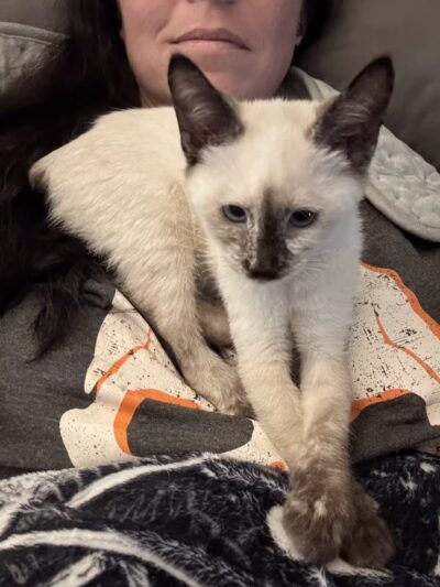 SPCA Albrecht Center for Animal Welfare - Aiken, SC