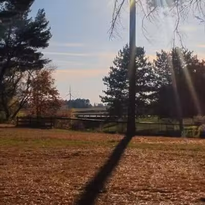Akron Park - Akron,