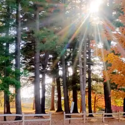 Akron Park - Akron,