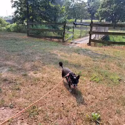 Akron Park - Akron,