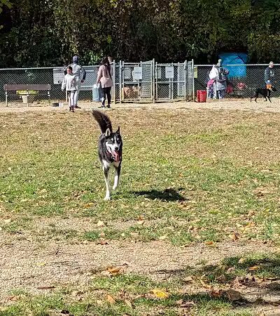 BARC - Akron Dog Park - Akron,