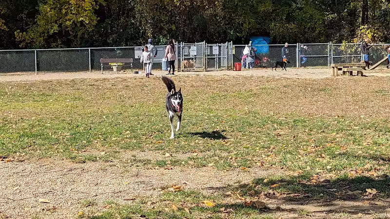 BARC - Akron Dog Park - Akron,