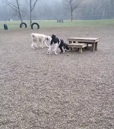 BARC - Akron Dog Park - Akron,