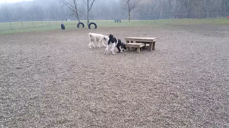 BARC - Akron Dog Park - Akron,