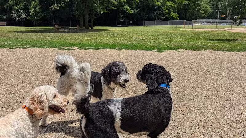 BARC - Akron Dog Park - Akron,