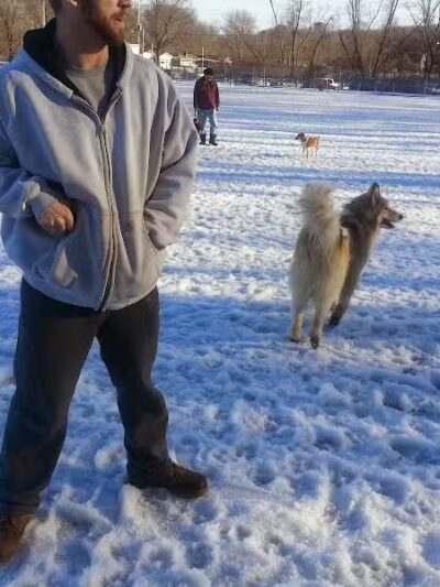 BARC - Akron Dog Park - Akron,