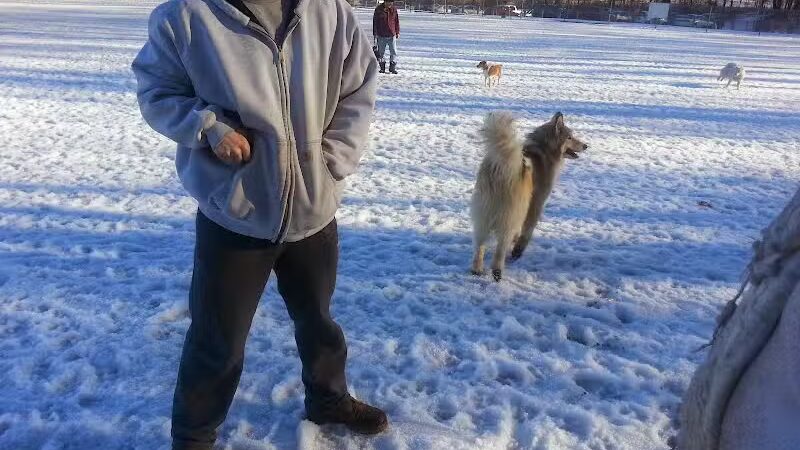 BARC - Akron Dog Park - Akron,