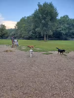 BARC - Akron Dog Park - Akron,