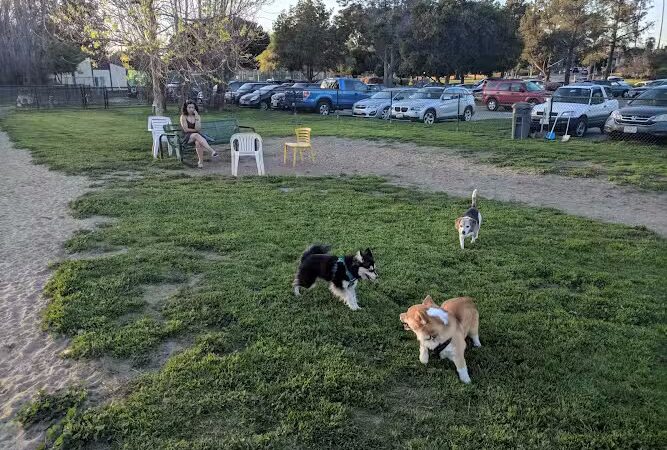 Alameda Dog Park - Alameda, CA
