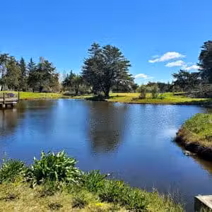 Crab Cove Duck Pond - Alameda, CA