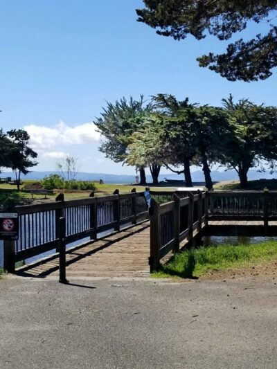 Crab Cove Duck Pond - Alameda, CA