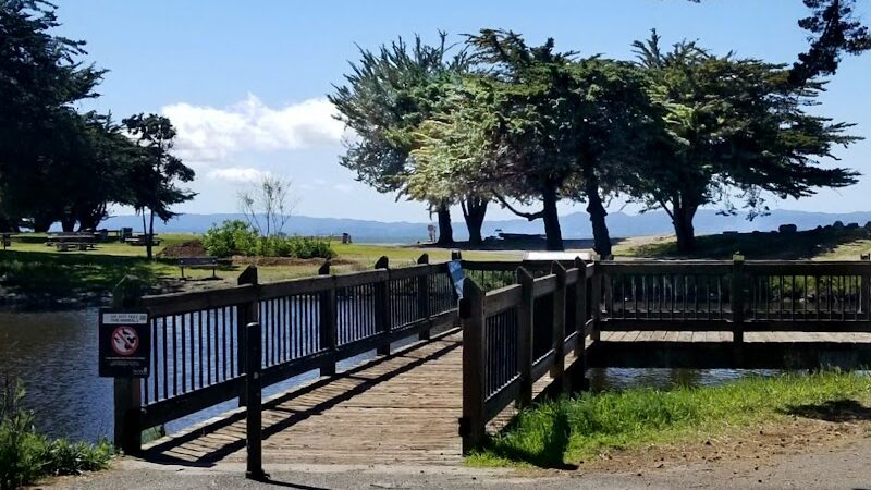 Crab Cove Duck Pond - Alameda, CA