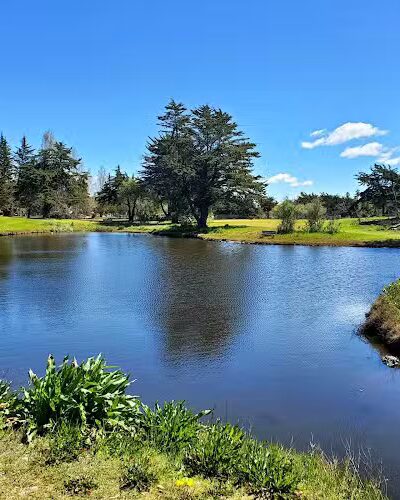 Crab Cove Duck Pond - Alameda, CA