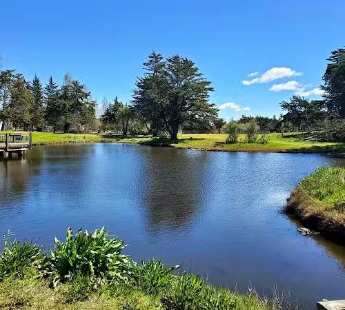 Crab Cove Duck Pond - Alameda, CA