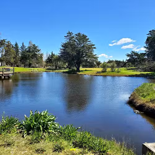 Crab Cove Duck Pond - Alameda, CA
