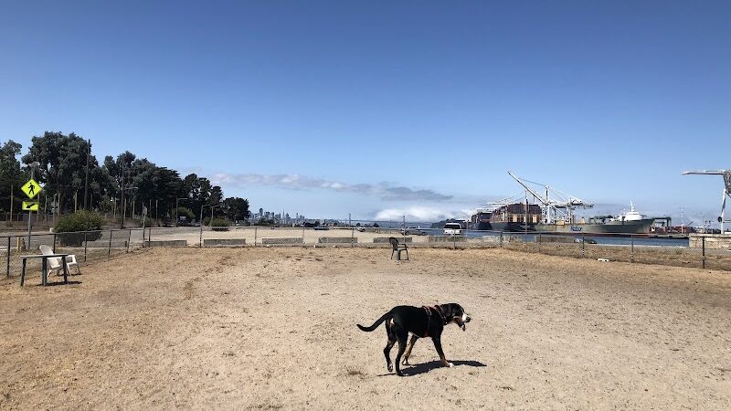 Main Street Dog Park - Alameda, CA