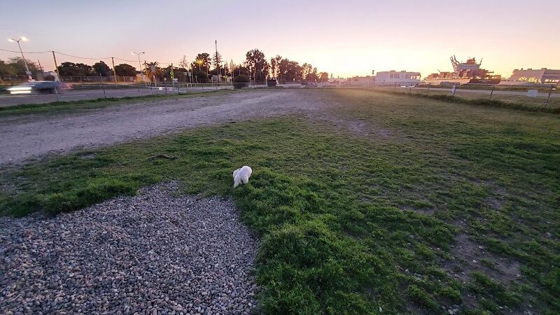 Main Street Dog Park - Alameda, CA