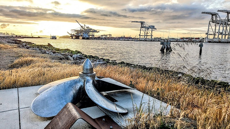 Main Street Dog Park - Alameda, CA