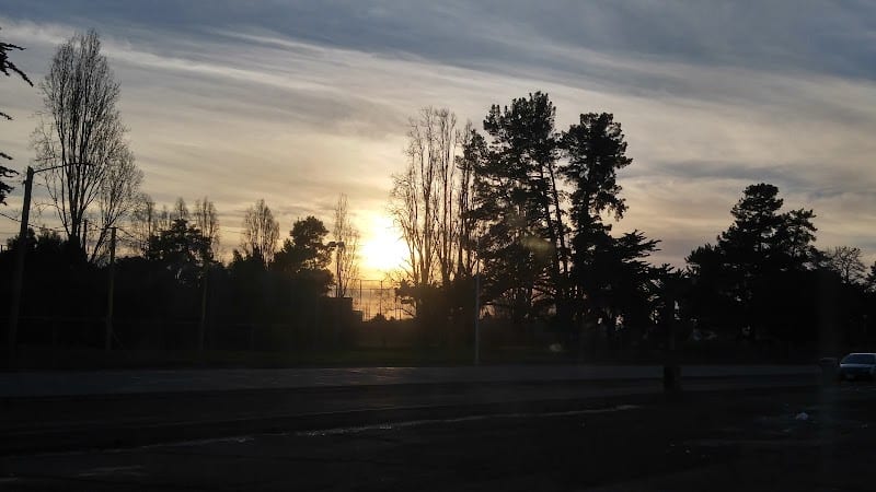 Main Street Dog Park - Alameda, CA