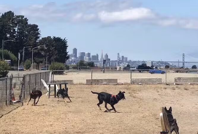 Main Street Dog Park - Alameda, CA