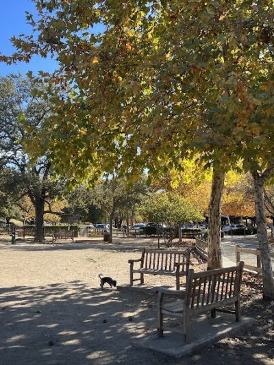 Hap Magee Ranch Dog Park - Alamo, CA