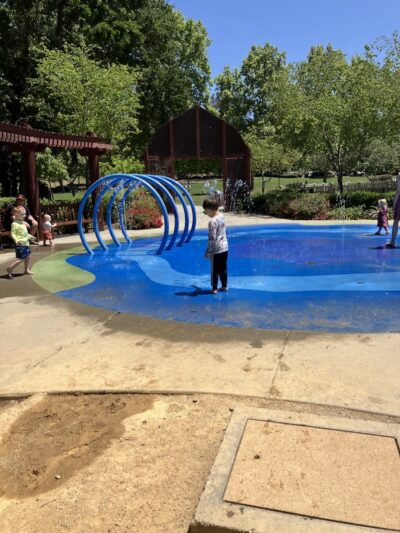 Hap Magee Ranch Dog Park - Alamo, CA