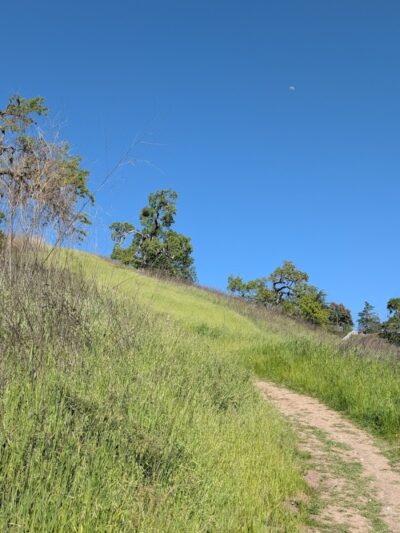 Hap Magee Ranch Dog Park - Alamo, CA