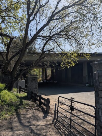 Hap Magee Ranch Dog Park - Alamo, CA