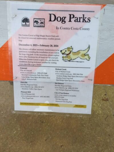 Hap Magee Ranch Dog Park - Alamo, CA