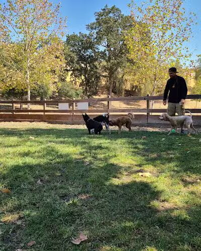 Hap Magee Ranch Dog Park - Alamo, CA