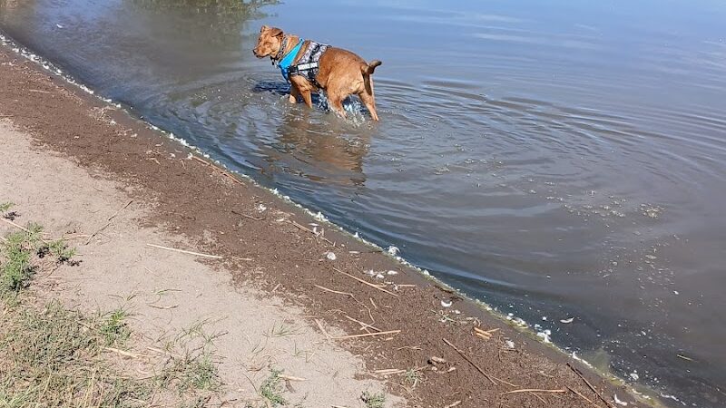 Blanca Vista Dog Park - Alamosa, CO