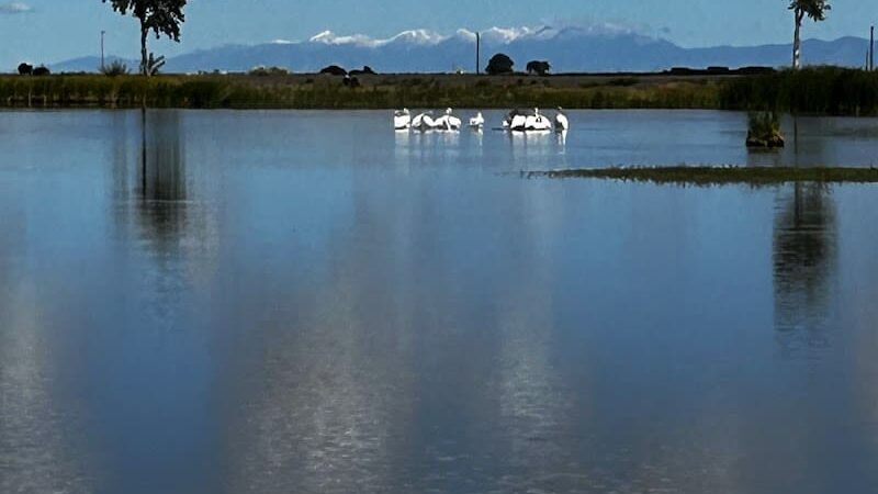 Blanca Vista Dog Park - Alamosa, CO