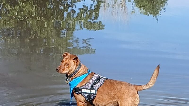 Blanca Vista Dog Park - Alamosa, CO