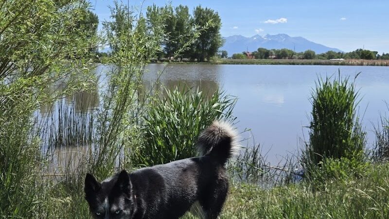 Blanca Vista Dog Park - Alamosa, CO