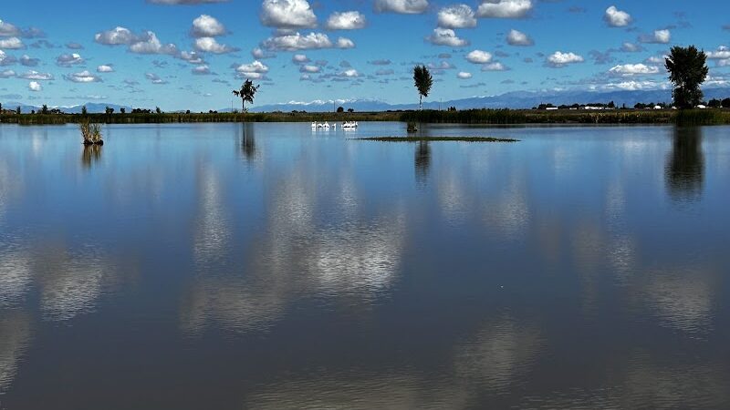 Blanca Vista Dog Park - Alamosa, CO