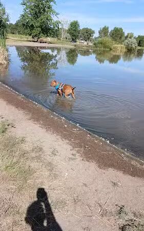 Blanca Vista Dog Park - Alamosa, CO