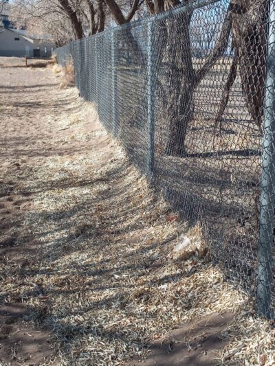 Lee Field Dog Park - Alamosa, CO