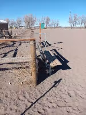 Lee Field Dog Park - Alamosa, CO