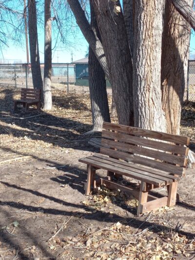 Lee Field Dog Park - Alamosa, CO