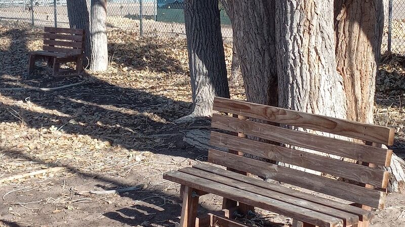 Lee Field Dog Park - Alamosa, CO