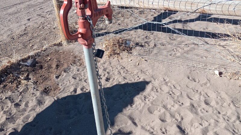 Lee Field Dog Park - Alamosa, CO