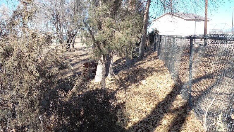 Lee Field Dog Park - Alamosa, CO