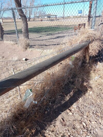 Lee Field Dog Park - Alamosa, CO