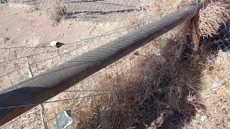 Lee Field Dog Park - Alamosa, CO