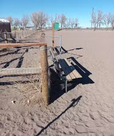 Lee Field Dog Park - Alamosa, CO