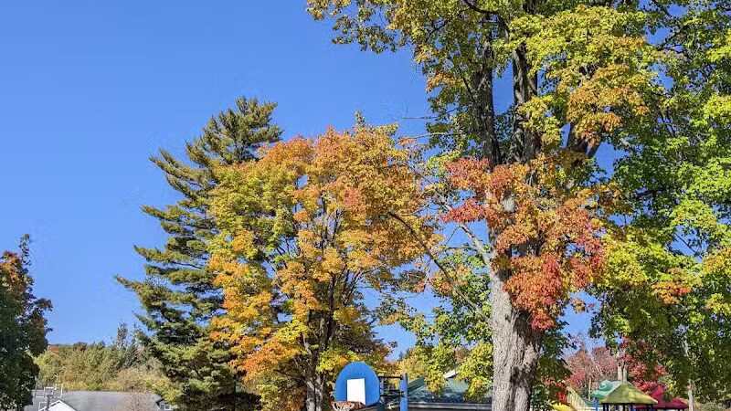 Alanson Village Park - Alanson,