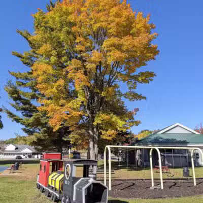 Alanson Village Park - Alanson,